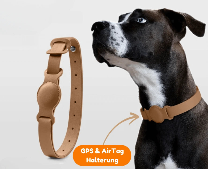 Hundehalsband für GPS-Tracker