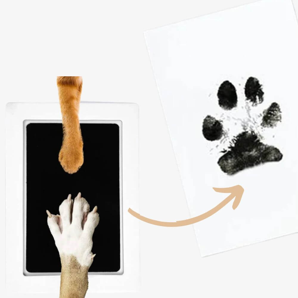 Custom Pet Portrait Cookie Cutter: Personalisierte Geschenke Für Hundebesitzer - Schweiz