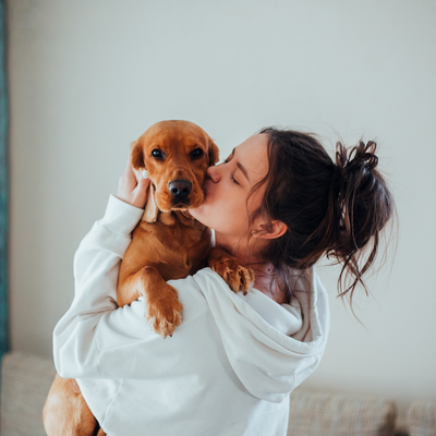 Hundepflege 101: Die richtige Pflege für einen glücklichen und gesunden Vierbeiner