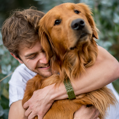 Tipps zur Beruhigung deines ängstlichen Hundes