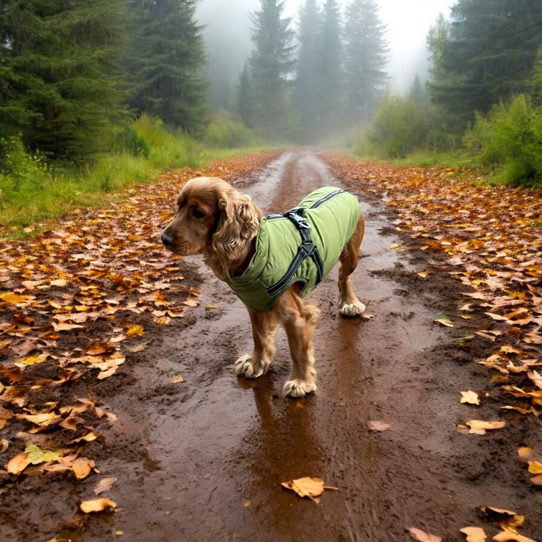 Emmalove - Wasserdichter Hundemantel Extreme