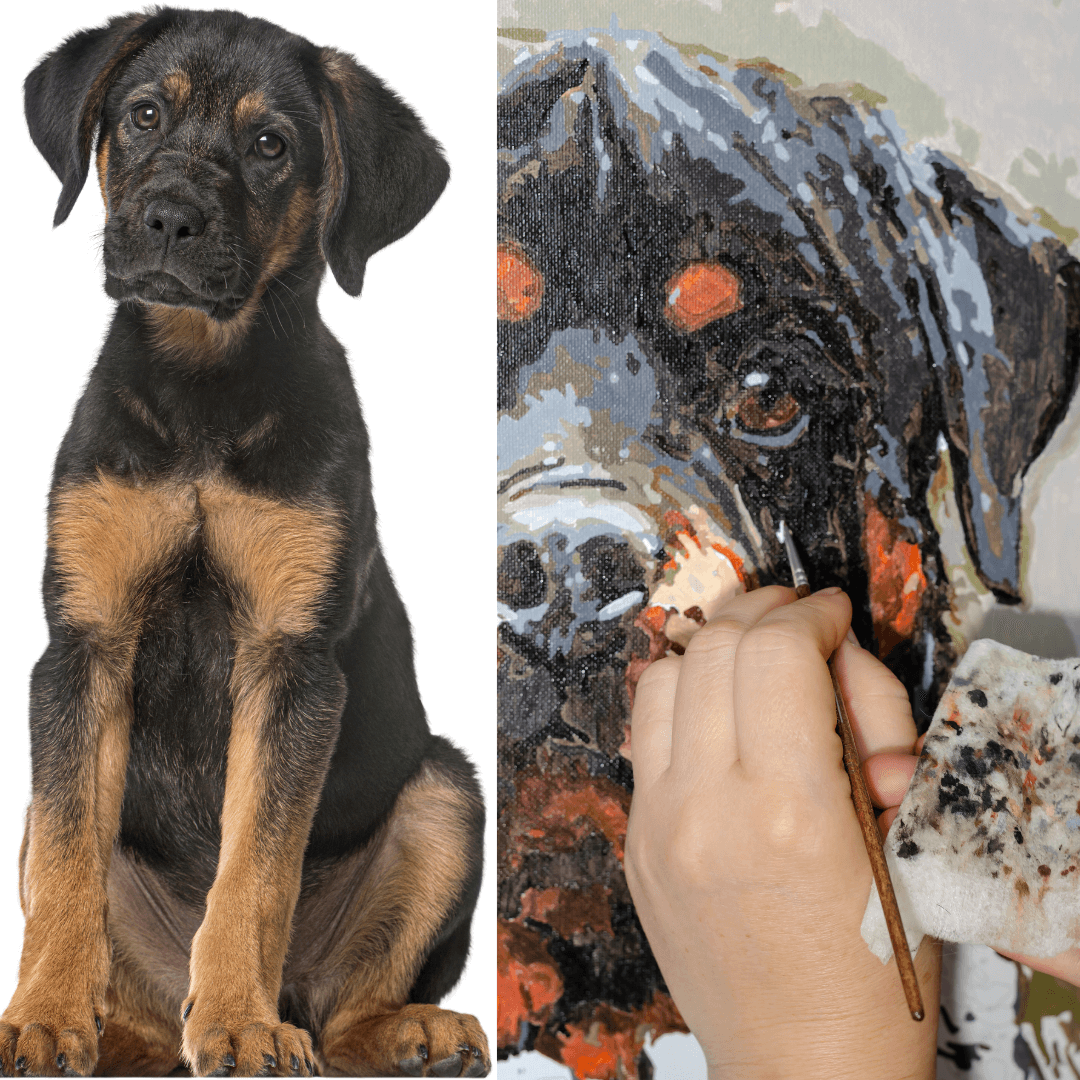 Produktbild von Ravensburger CreArt 28511 - Kleiner Golden Retriever - Malen Nach Zahlen Hund Für Kinder Ab 7 Jahre, Malset Mit Rahmen, Pinsel Und Acrylfarben, Geschenk Für Mädchen Und Jungen