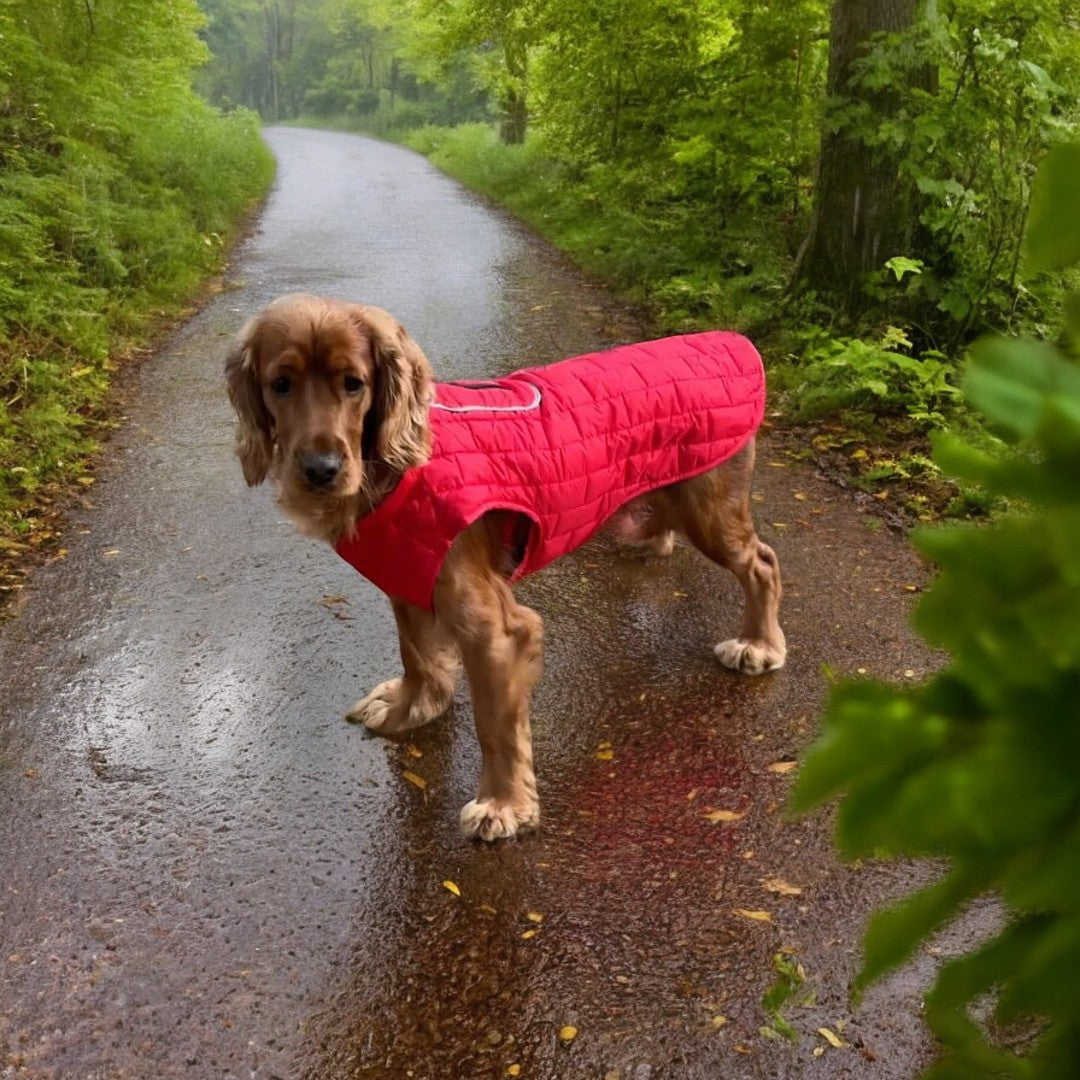 Emmalove - Waterproof dog vest 