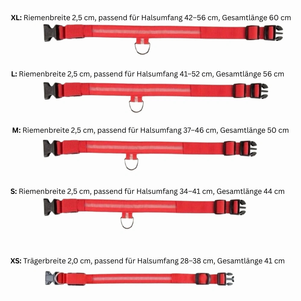 Emmalove - Luminous collar