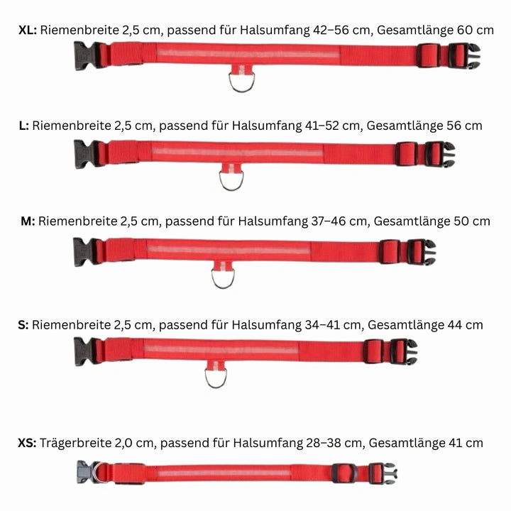 Emmalove - Luminous collar