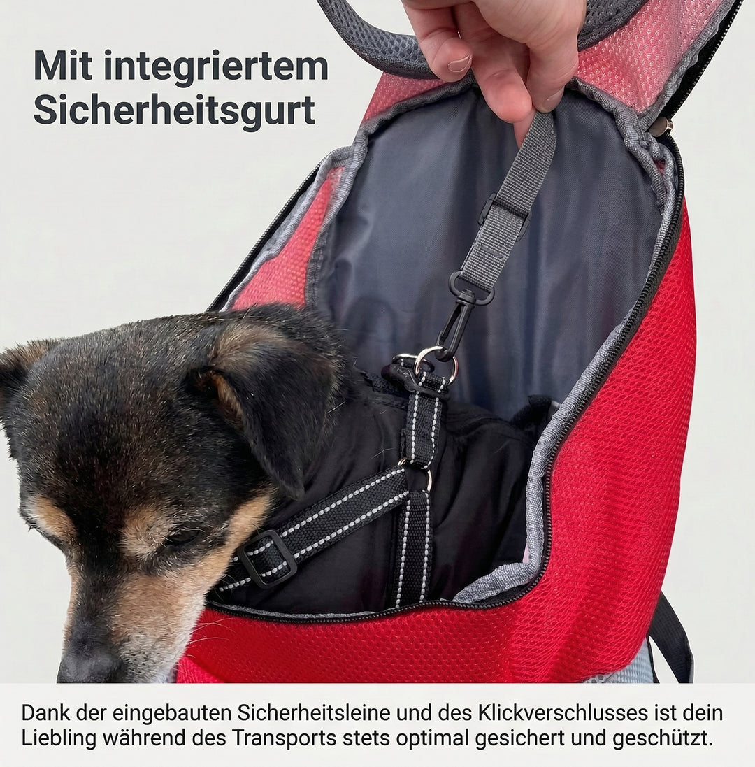 wanderrucksack für kleine hunde Hunde-Rucksack bis 15 kg