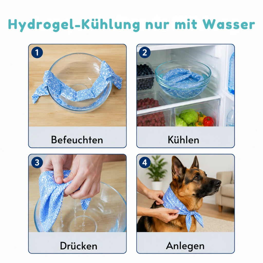 color-all-lang-de