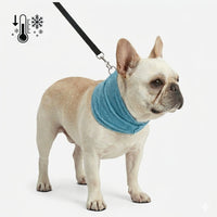 *NEW* Emmalove - AntiSplash dog bowl 