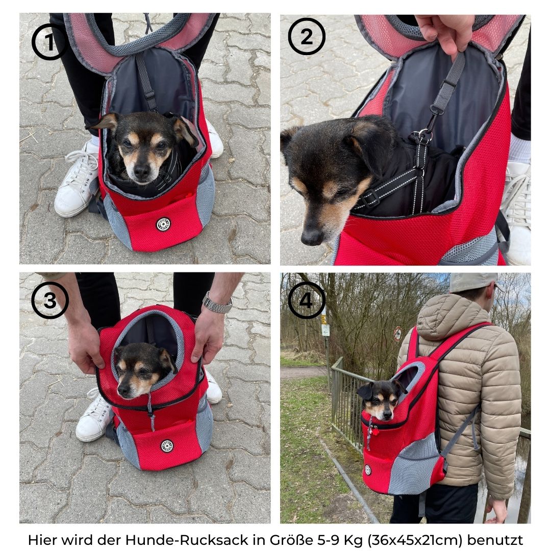 hunde reiserucksack Hunde-Rucksack bis 15 kg