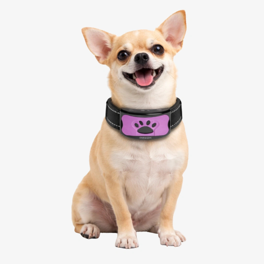 Anti-Bell Halsband Hund ohne Strom | Tierfreundlich Emmalove Anti-Bell Halsband Hund ohne Strom | Tierfreundlich Emmalove