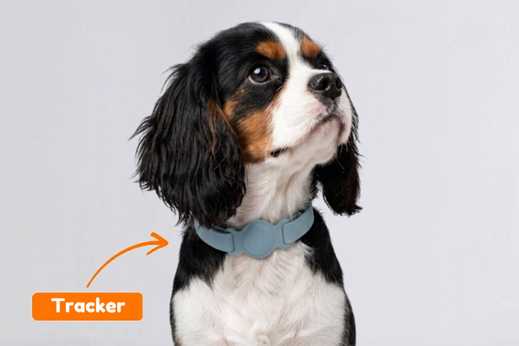 analytische bestandteile hundefutter mera brocken Trockenfutter + Bakery Gourmet Happen | mera main image 0