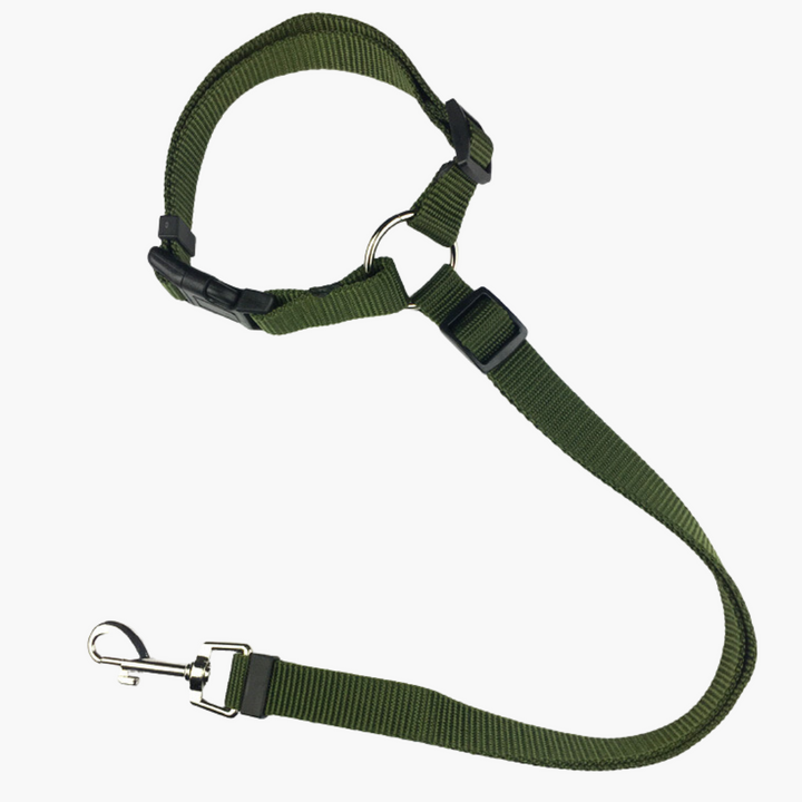 Emmalove - safety leash for dogs