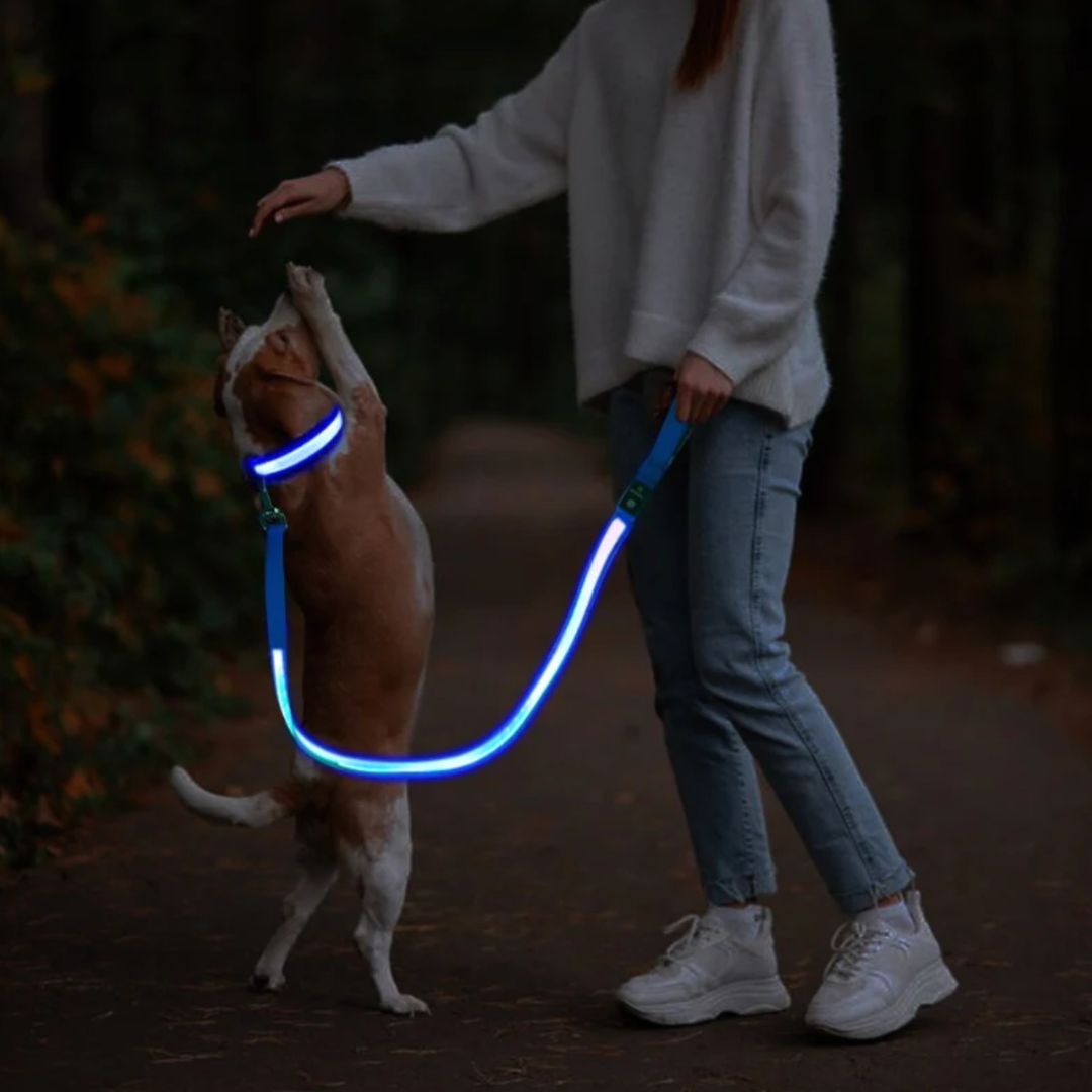 Emmalove - Luminous dog leash